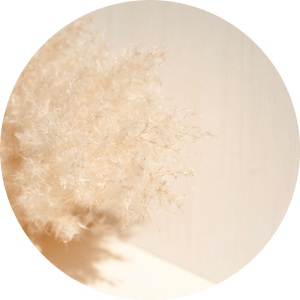 koenzym Q10 działanie na zmarszczki